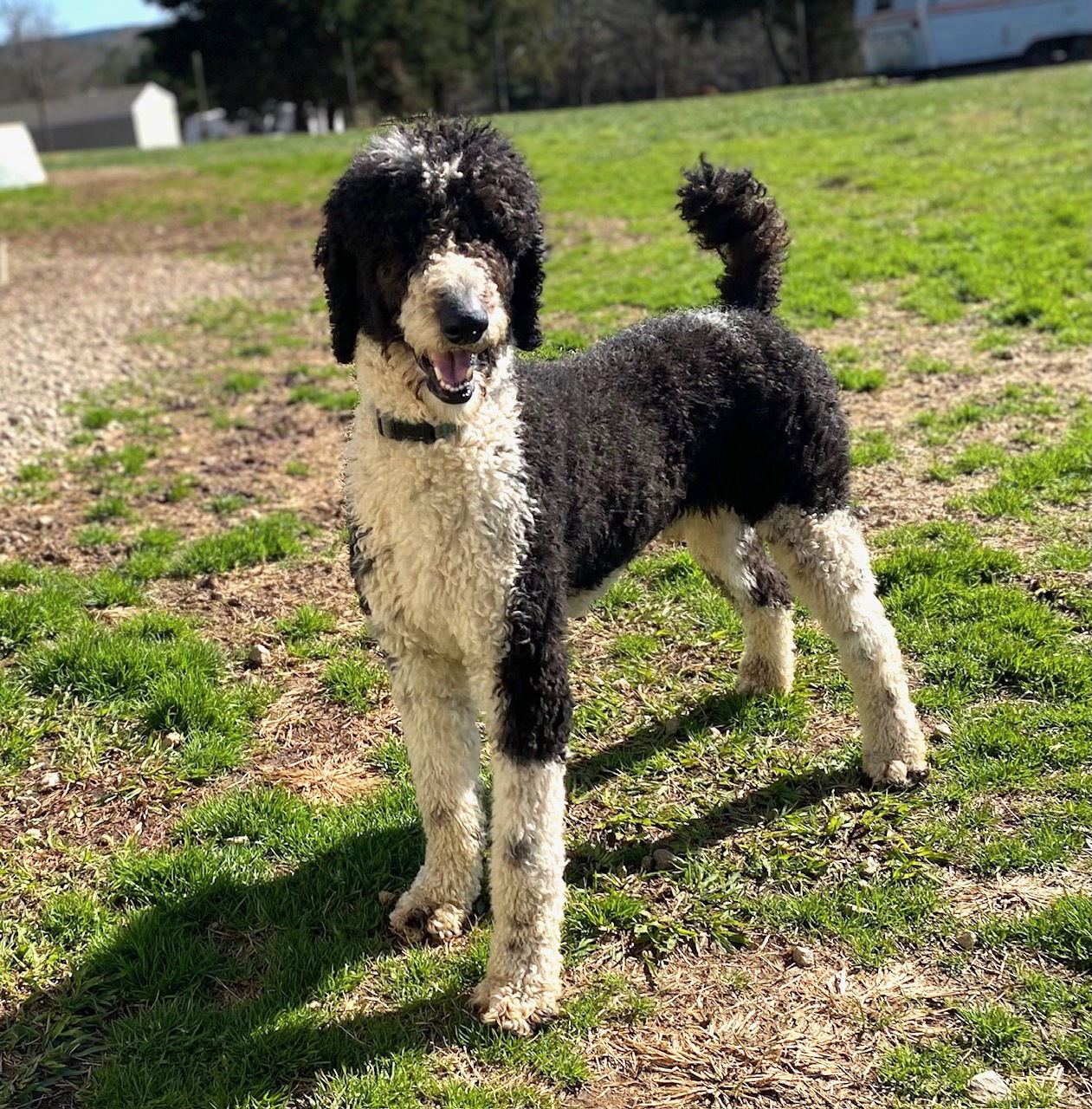 Roscoe Feb 25