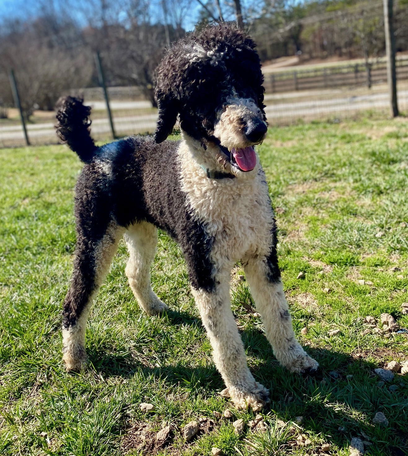 Roscoe Feb 25