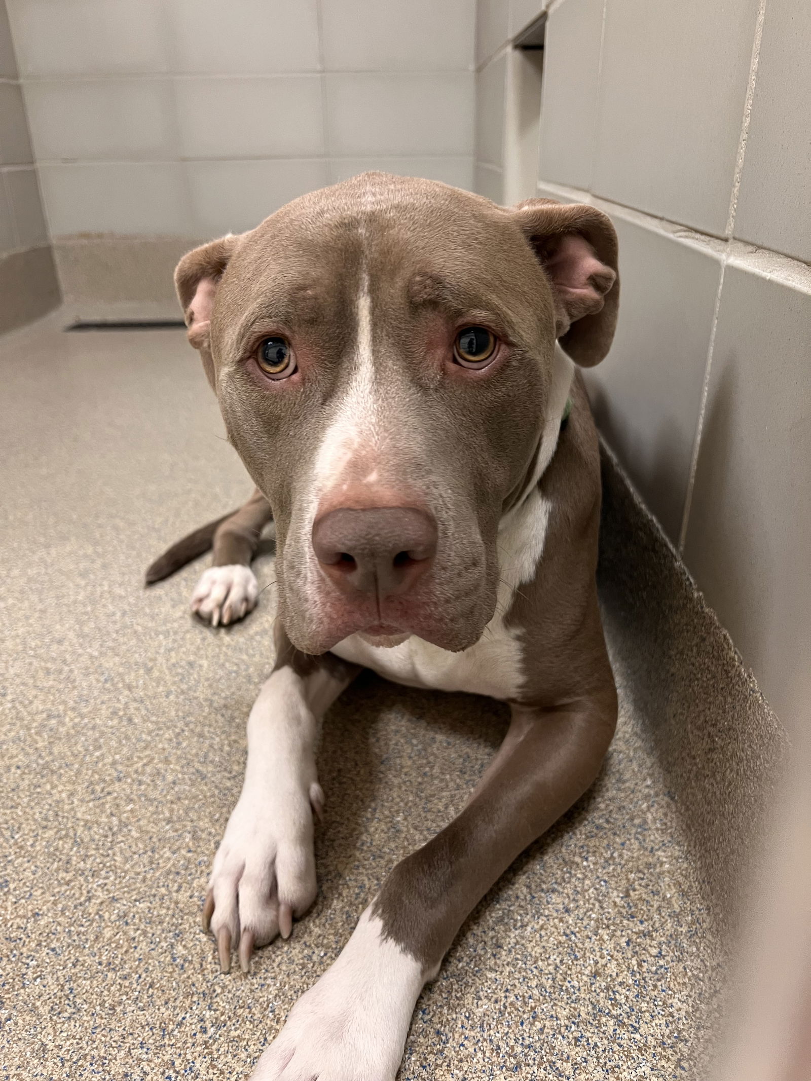 2502-0857 Marley