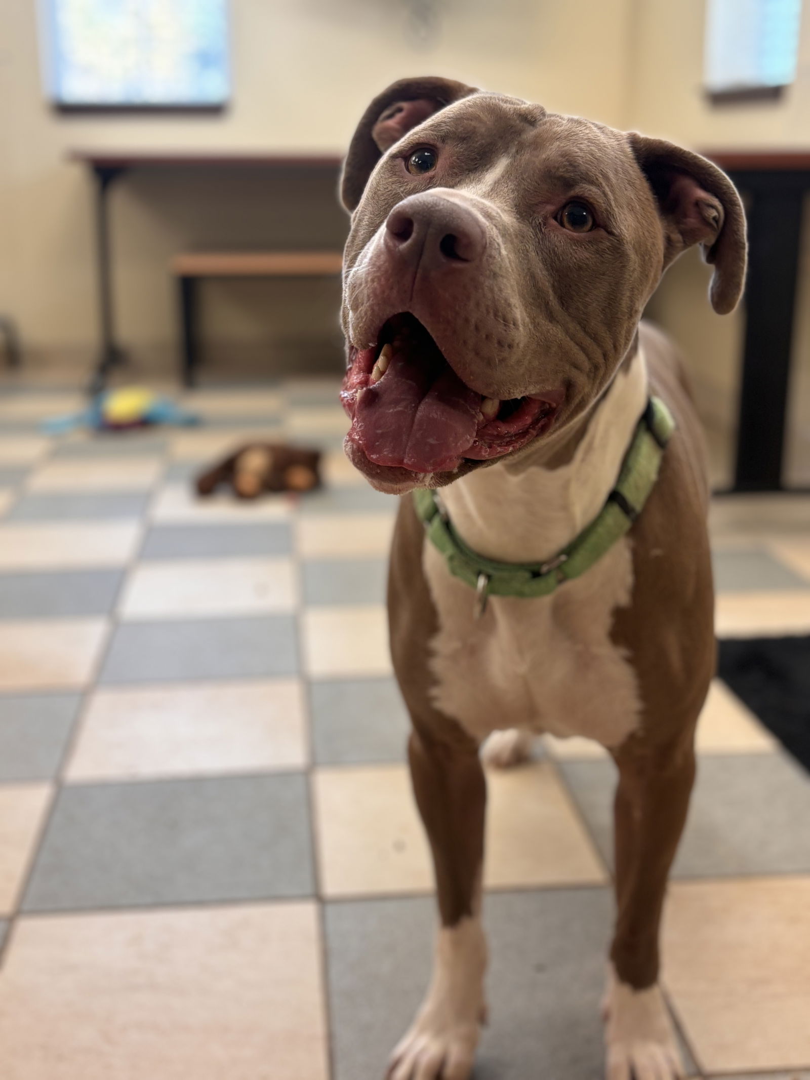 2502-0857 Marley
