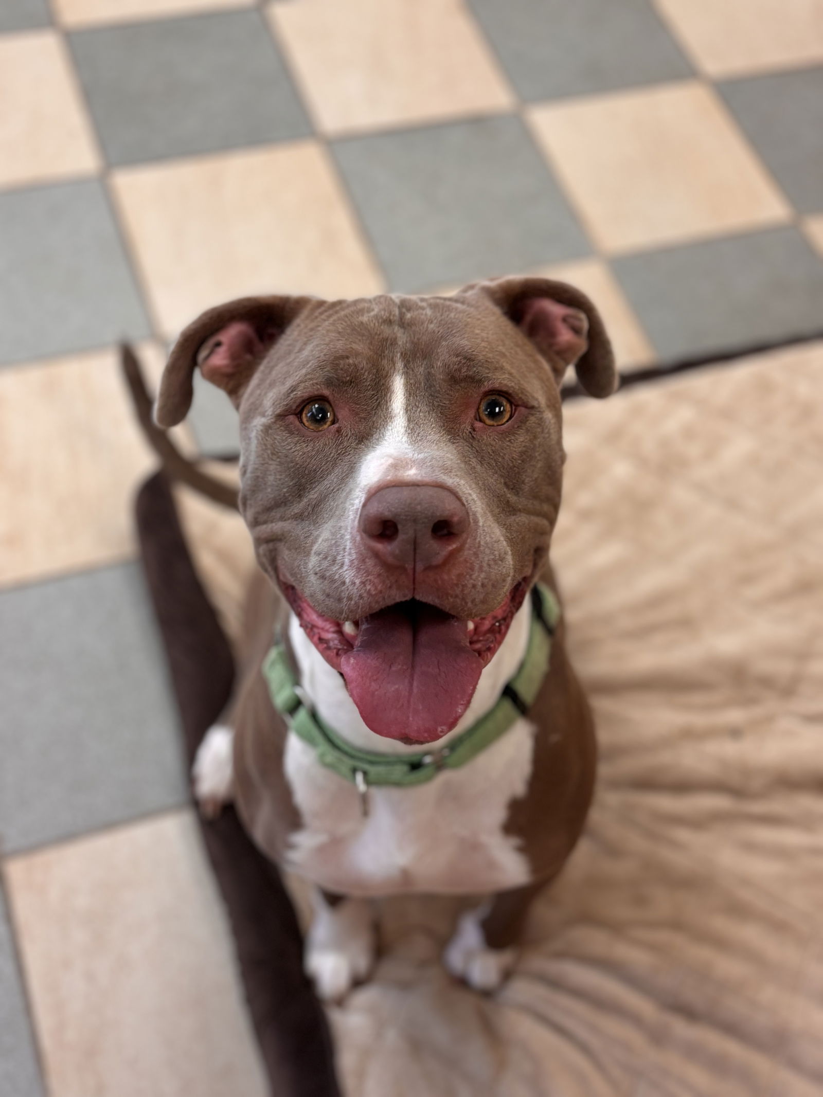 2502-0857 Marley
