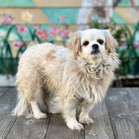 Suzie