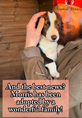 Abandoned Puppy Left to Freeze at a Bus Station Thought Kindness Wasn't Real — Until This Happened