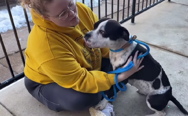 Dog Found in Snowy Abandoned Building Does The Sweetest Thing When Rescued