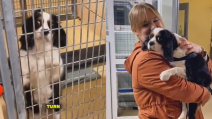 Shelter Dog’s Overwhelming Joy After Finally Finding a Home Will Bring You to Tears