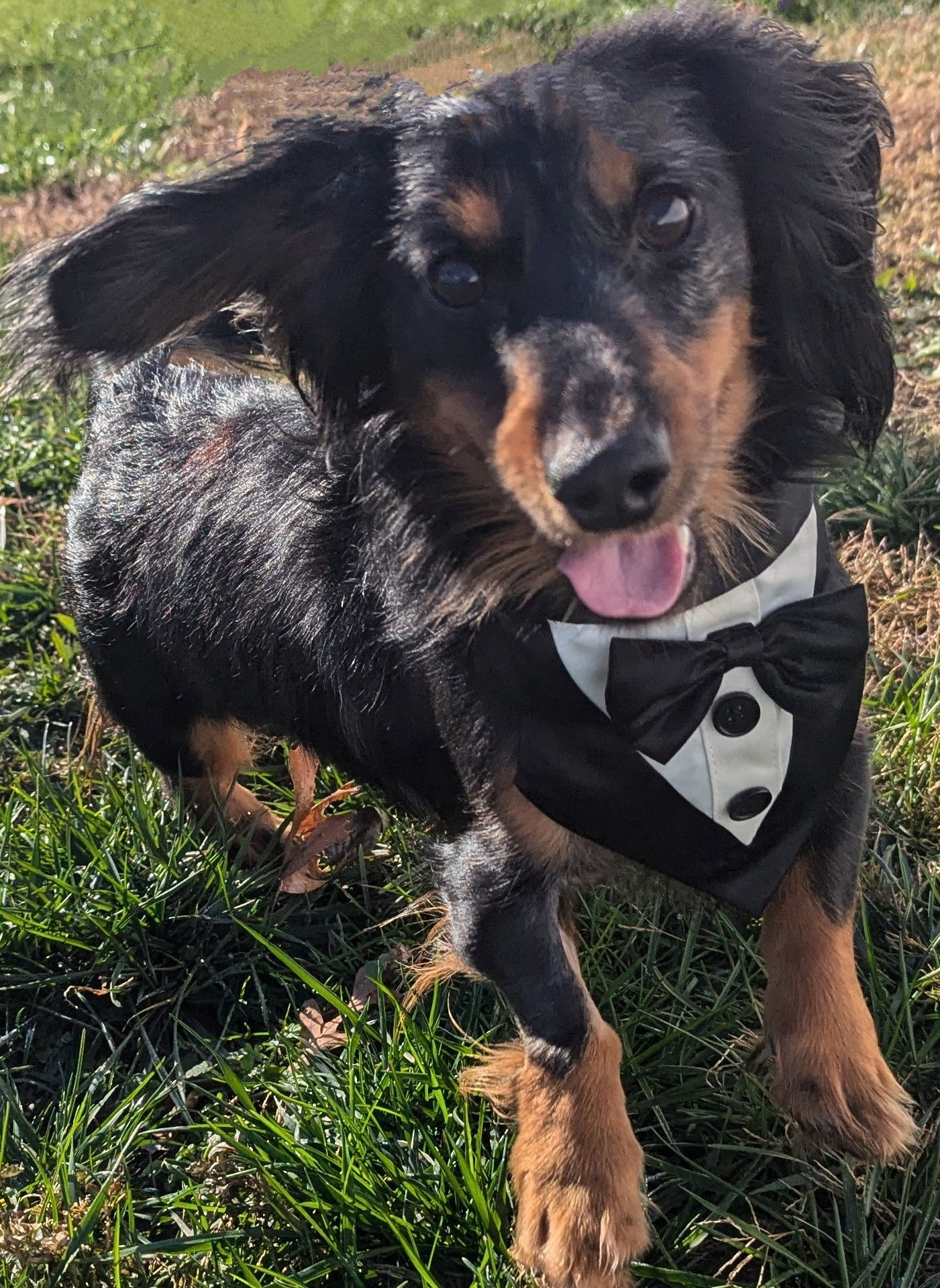 Tobi in PA