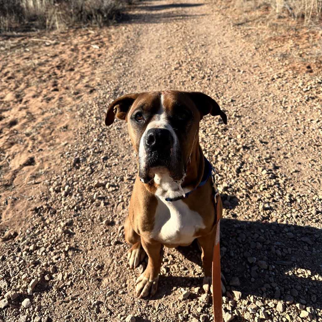 Riggins