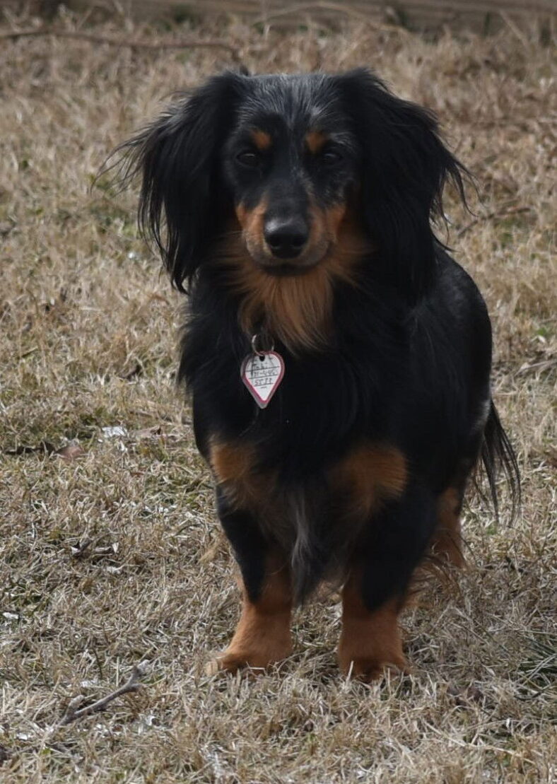 Tobi in PA