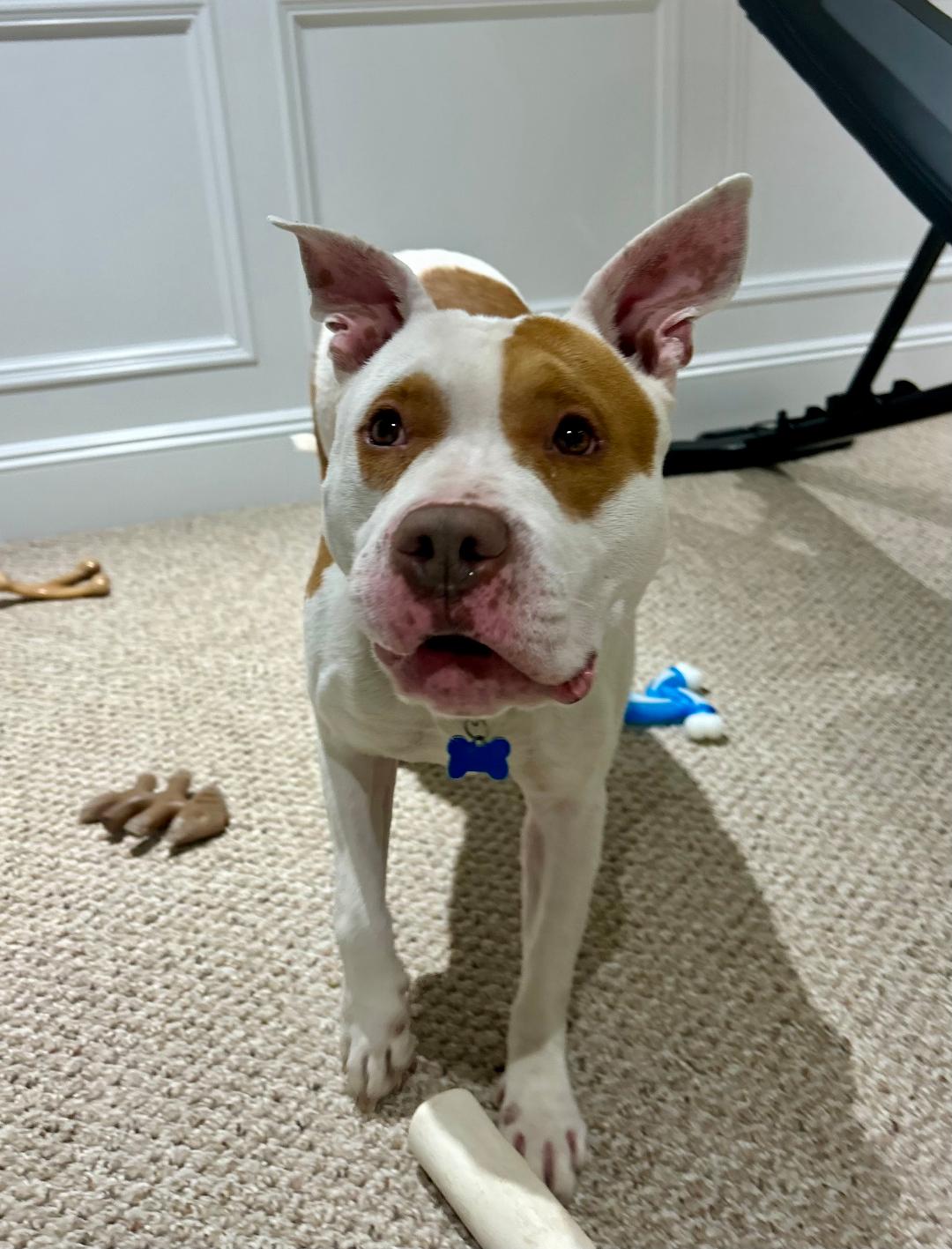 Oakley