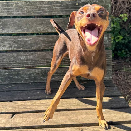 Zeus