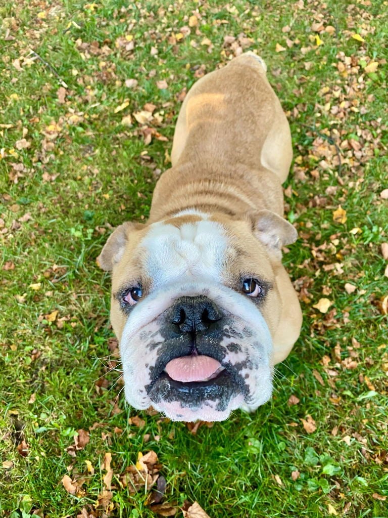 Matilda