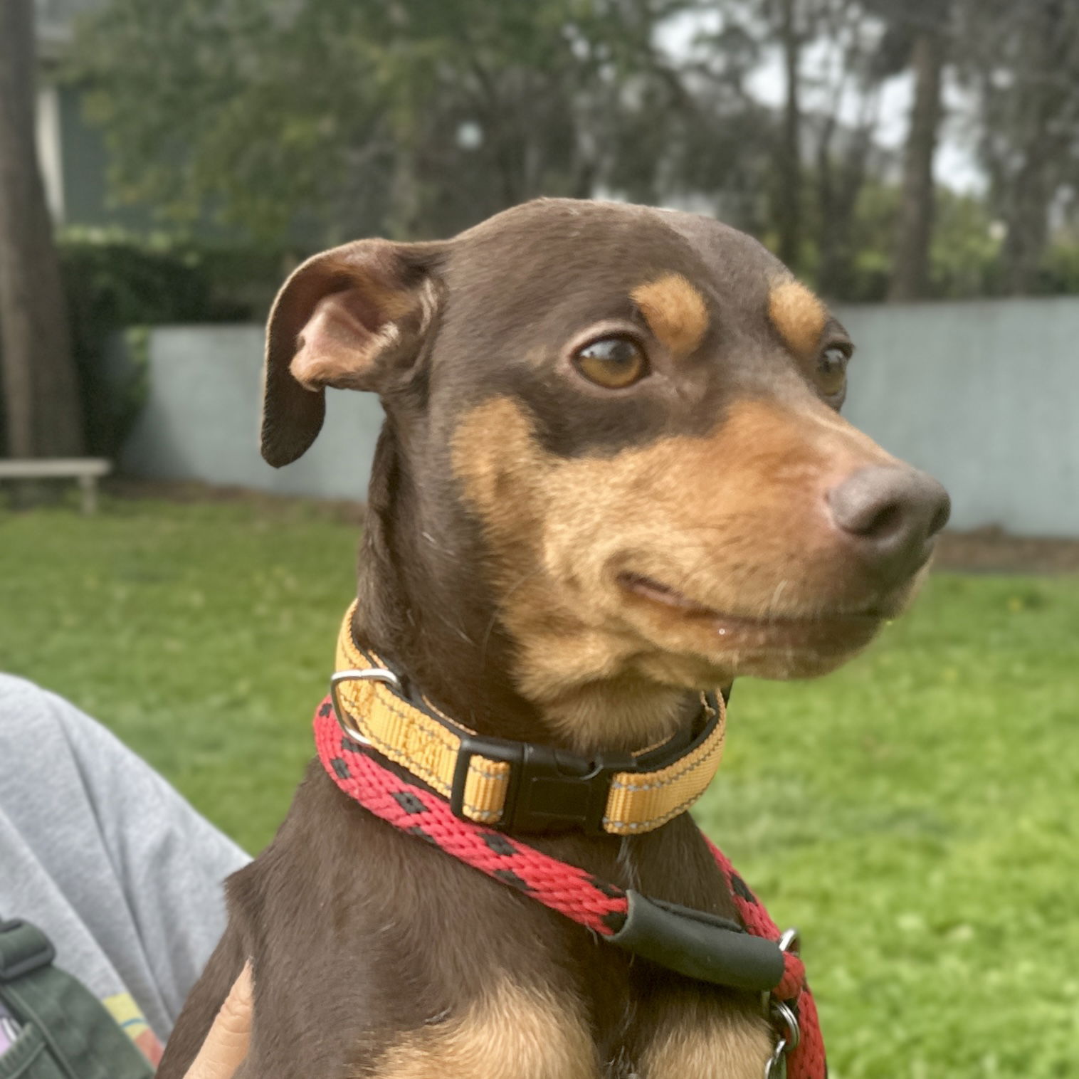 Zeus