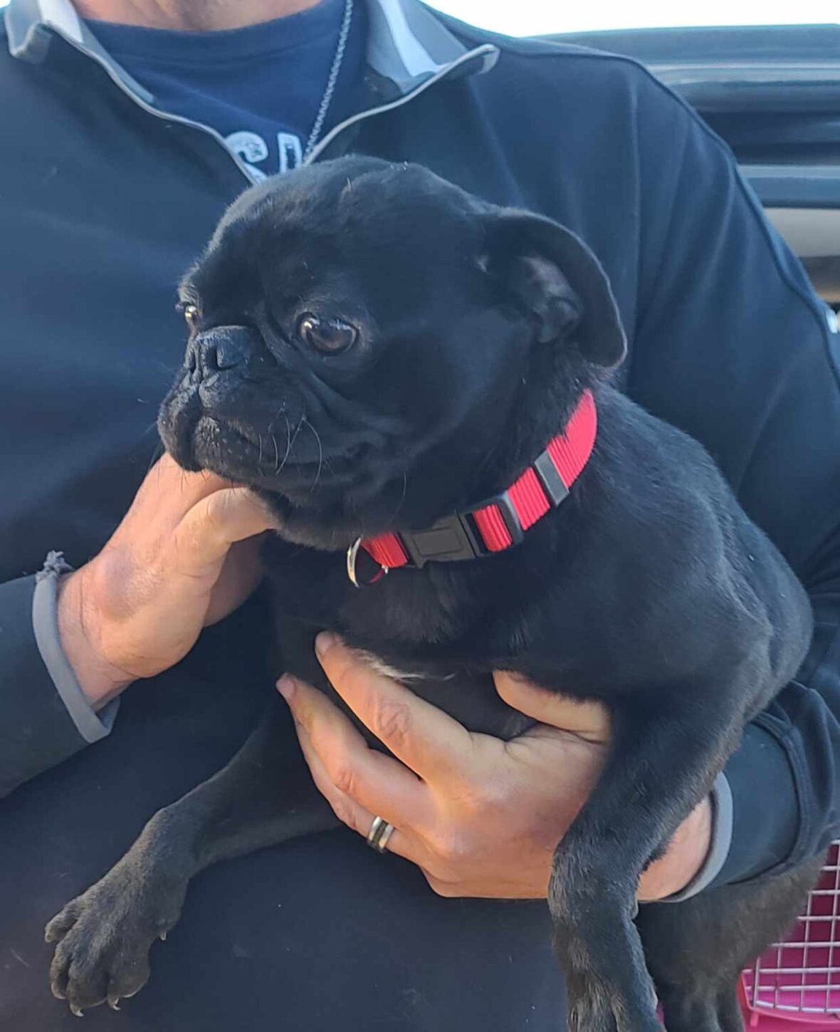 Earl Pugz