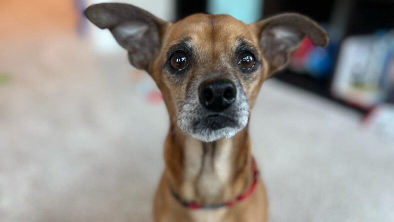 Rusty