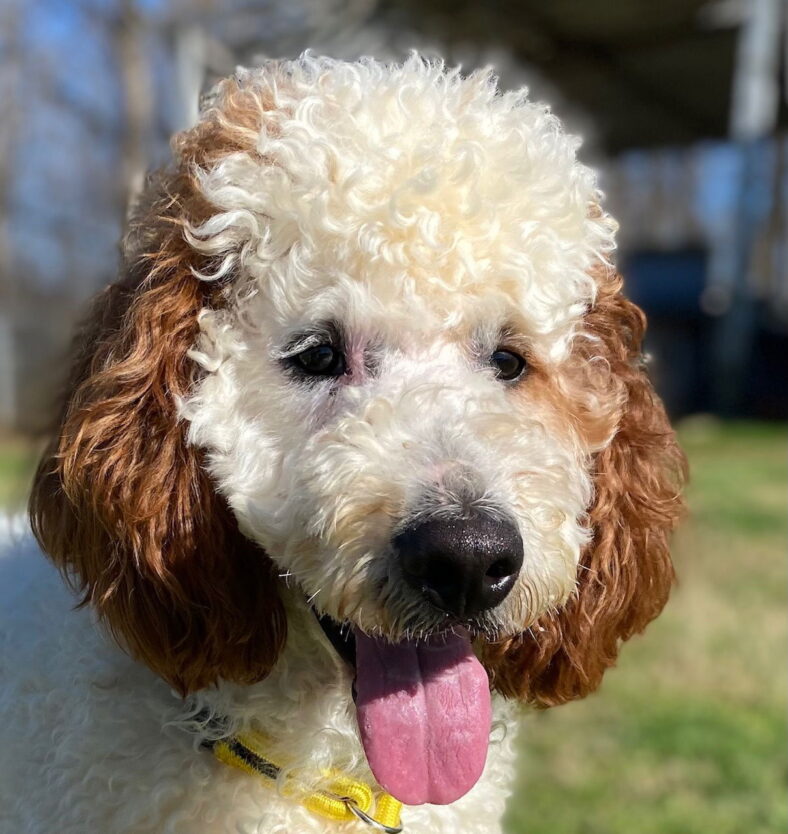 Oakley Mar 25