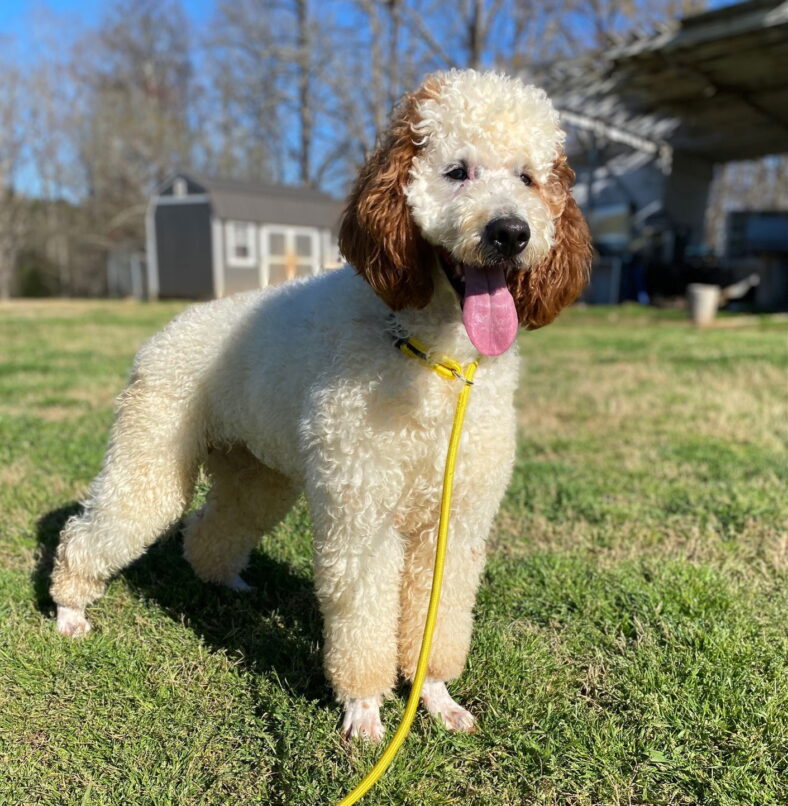 Oakley Mar 25