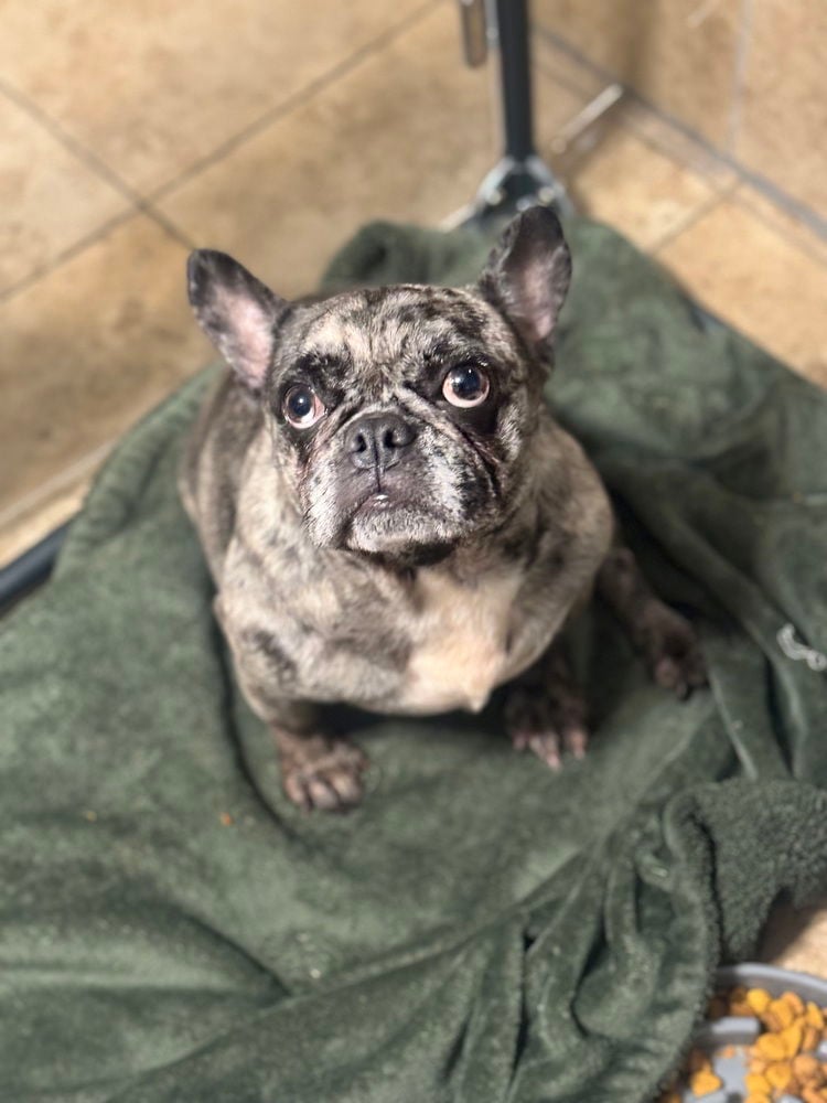 Missy
