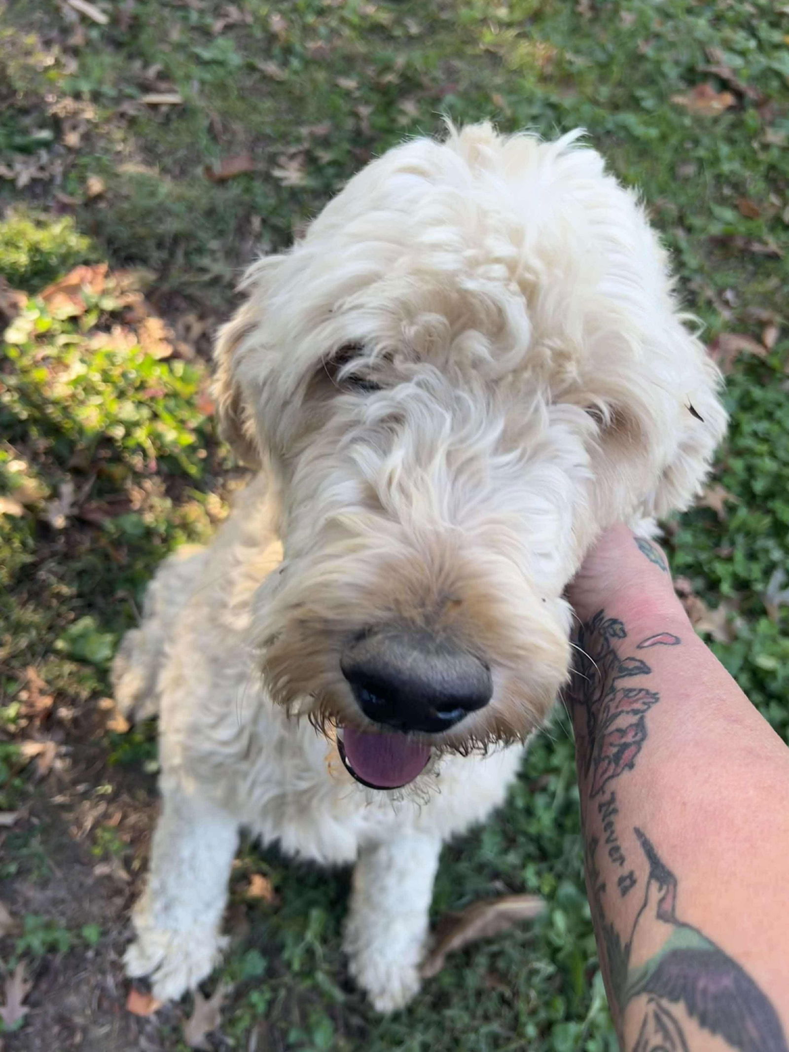 Winston