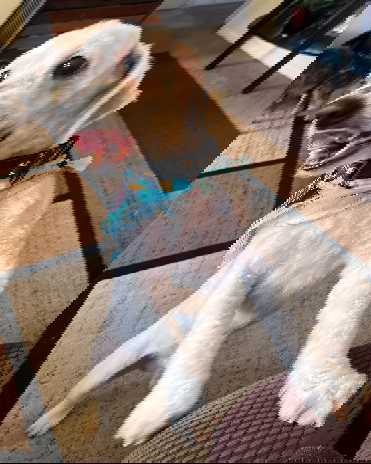 Harvey