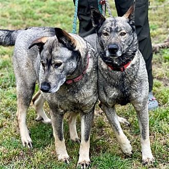 Freida and Dallen