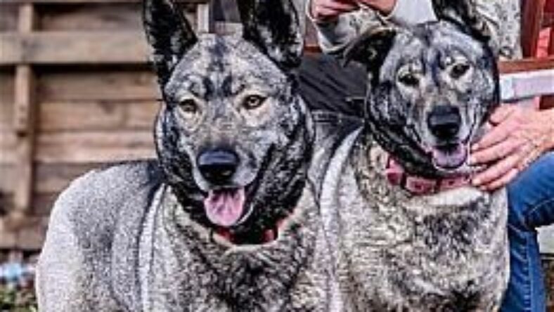 Freida and Dallen