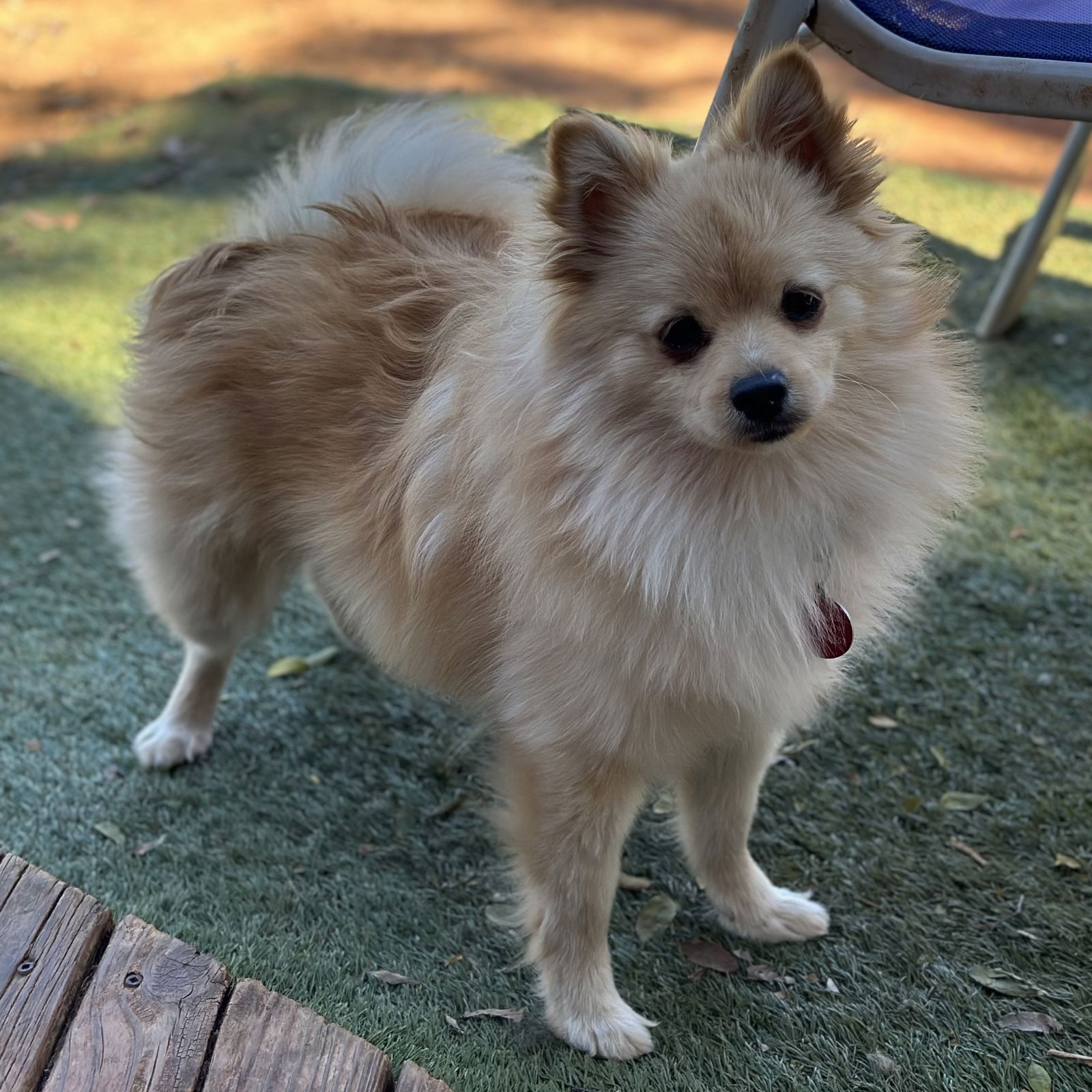 Ellie