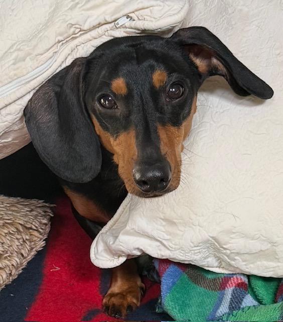 Remington - So Ca