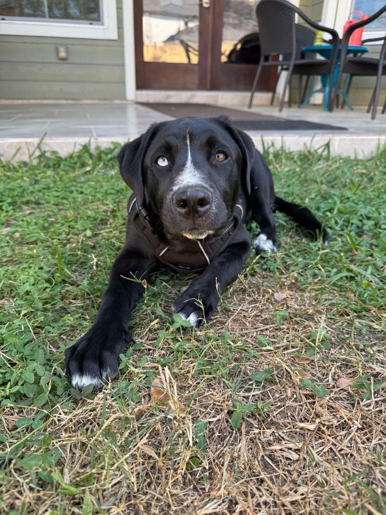Ares