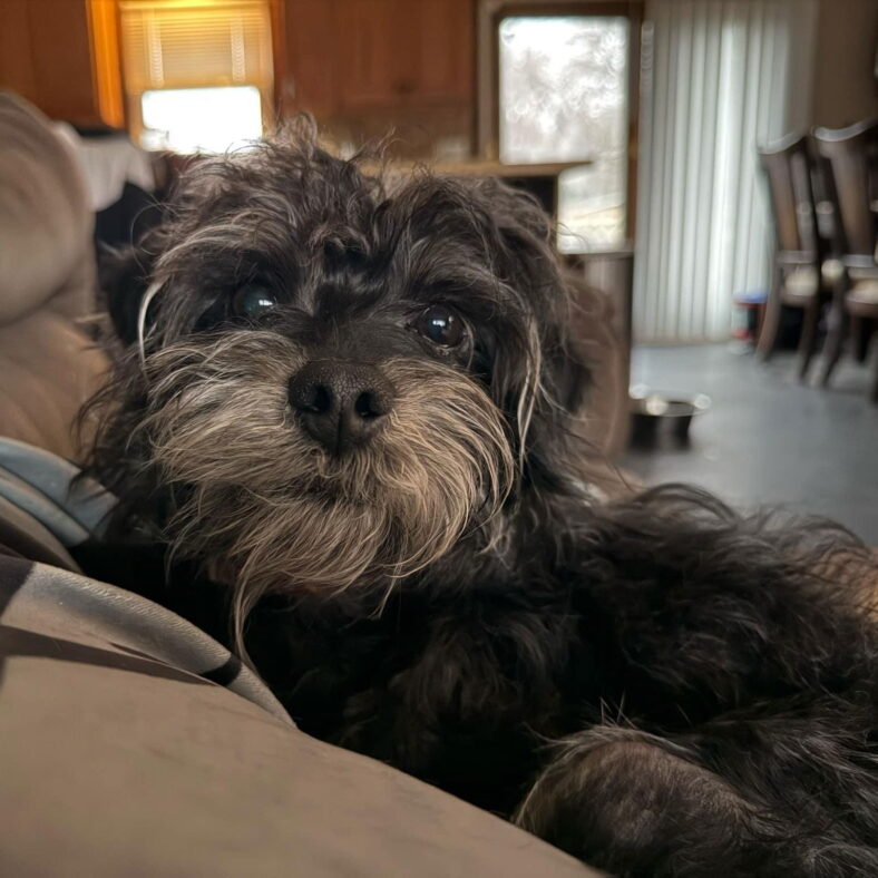 Rylo