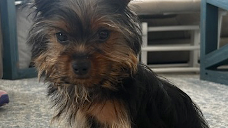 Sam