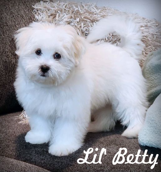 Lil' Betty