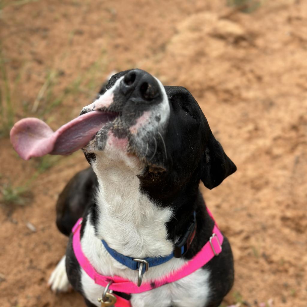 Eloise