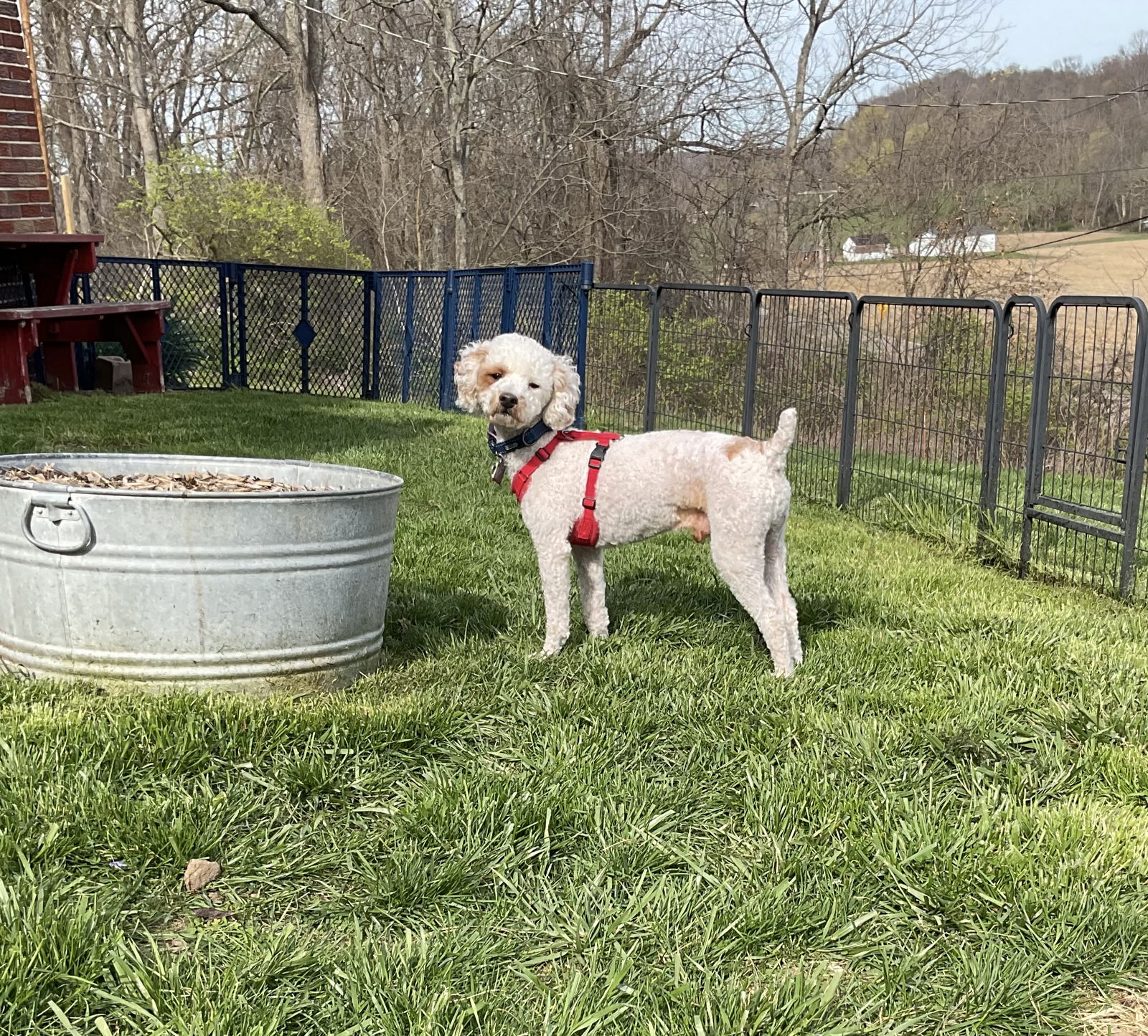 Wyatt - PM
