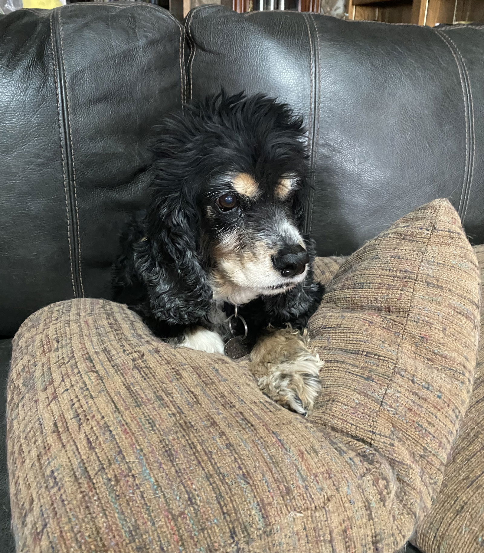 Molly