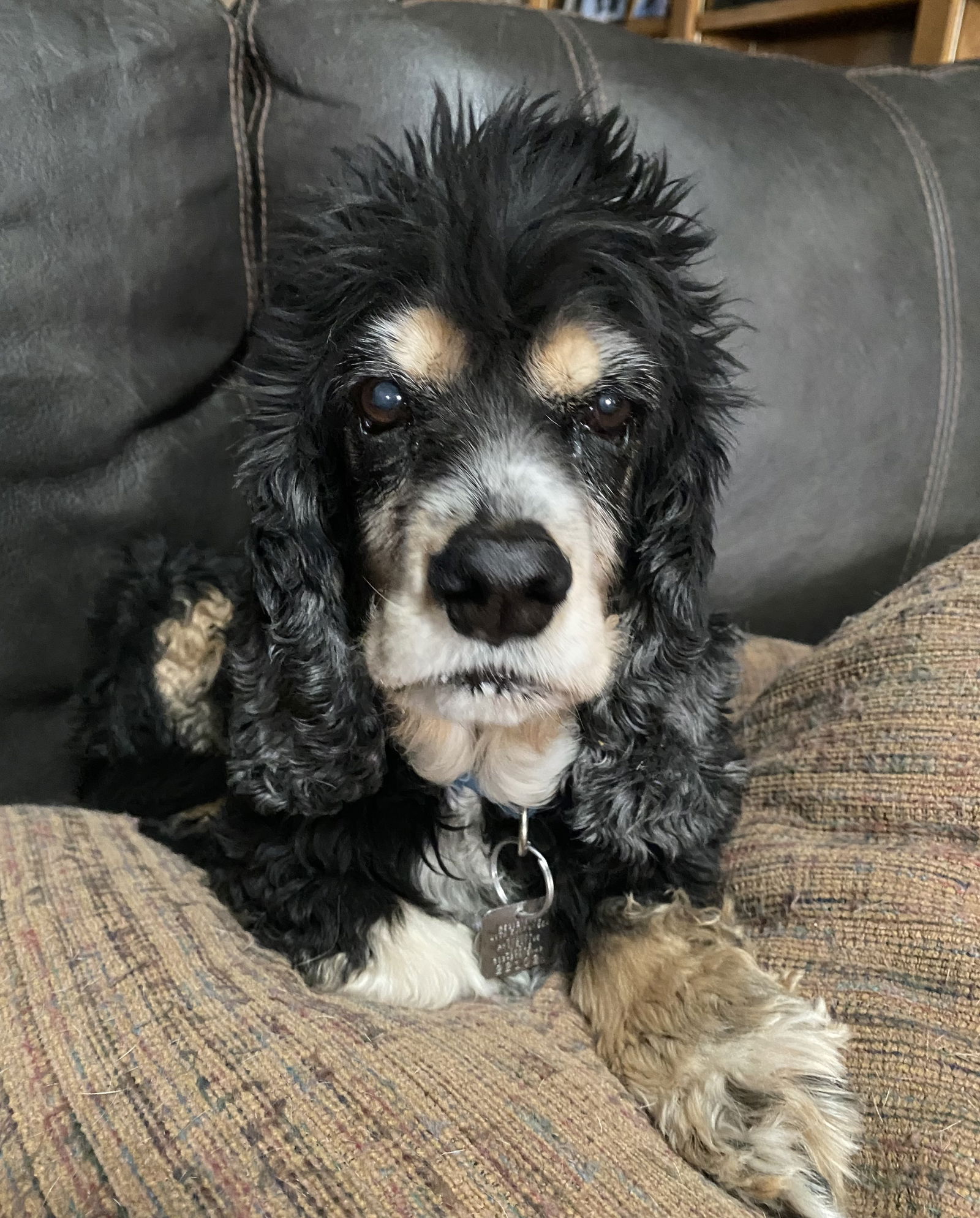 Molly