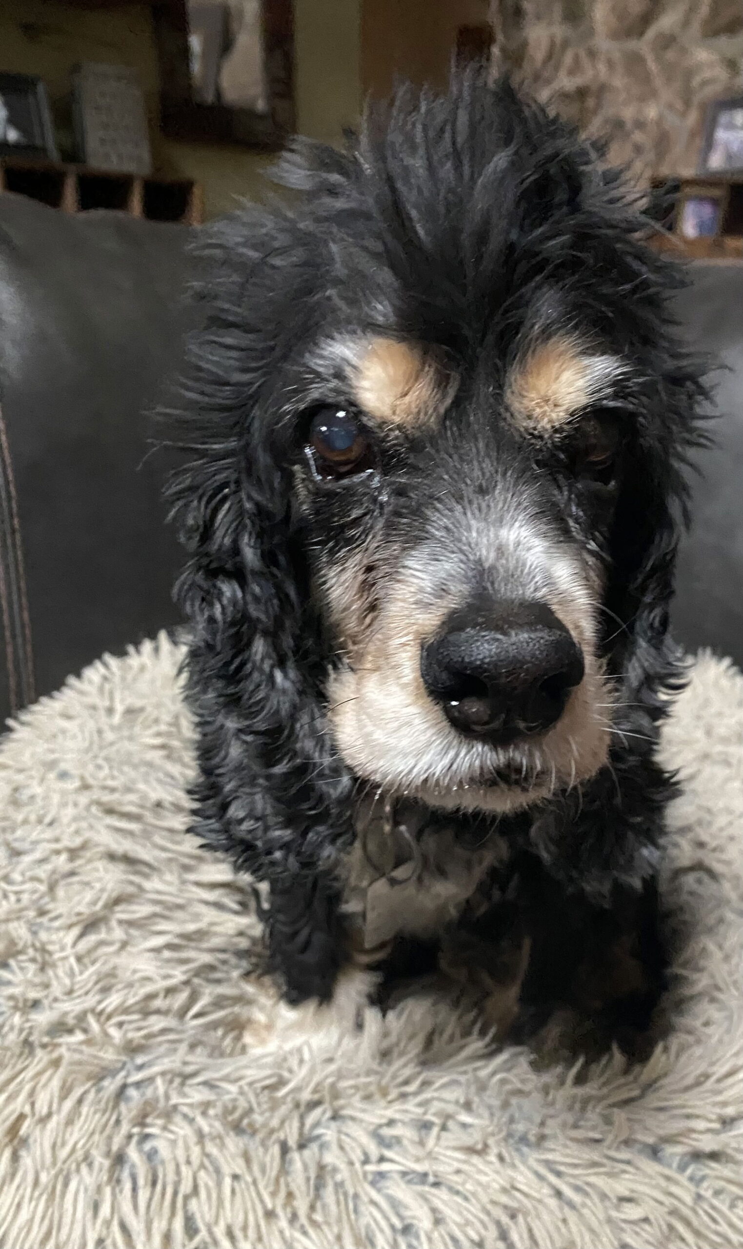 Molly