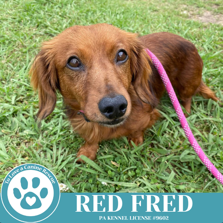 Red Fred 051025