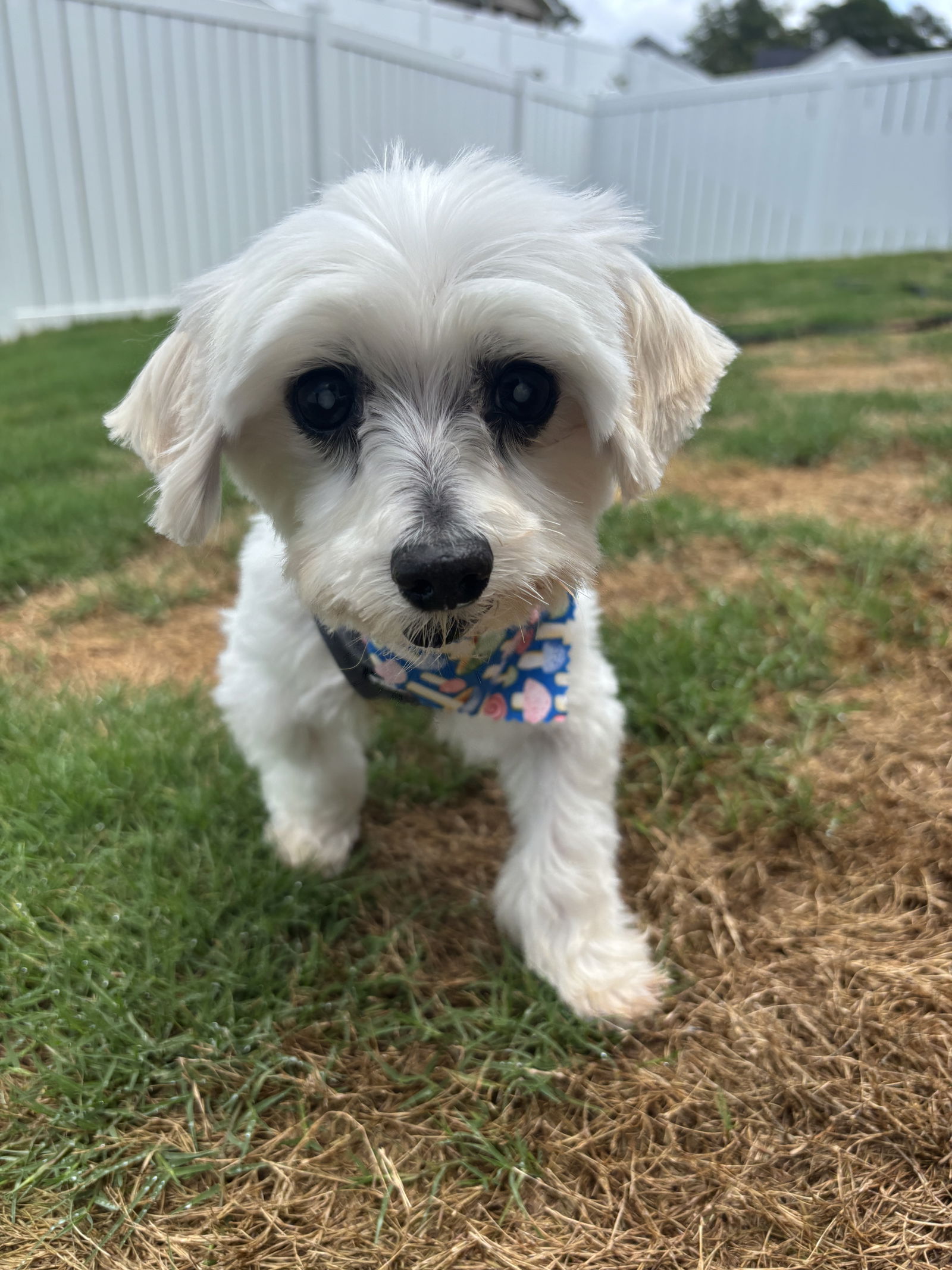 Oakley