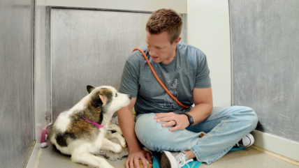 Faith: A Dog’s Journey from Trauma to Trust