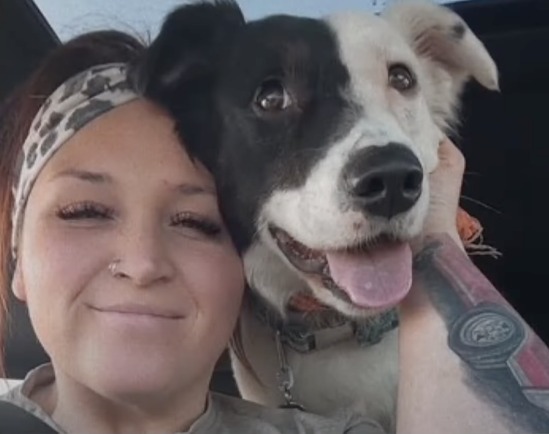 Nine Dogs Dead, Nine More Tortured: Boarding Facility Horror Sparks Outrage