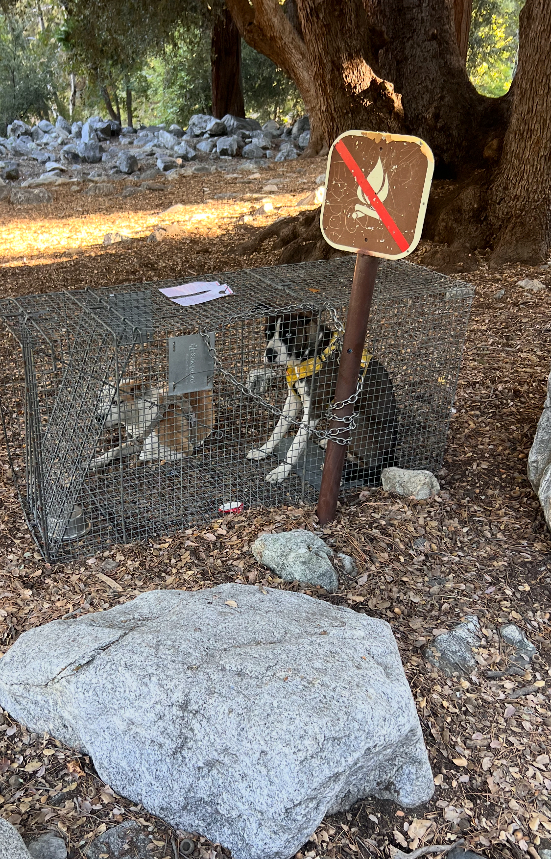 Rescue help!