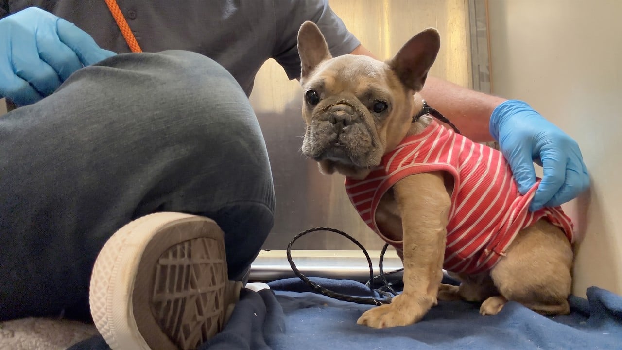 Hidden cam shows family dumping him in a sweater, Watch what I find ...